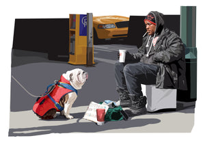 Alphonso on Park Avenue, New York, Bull dog, Dog 
