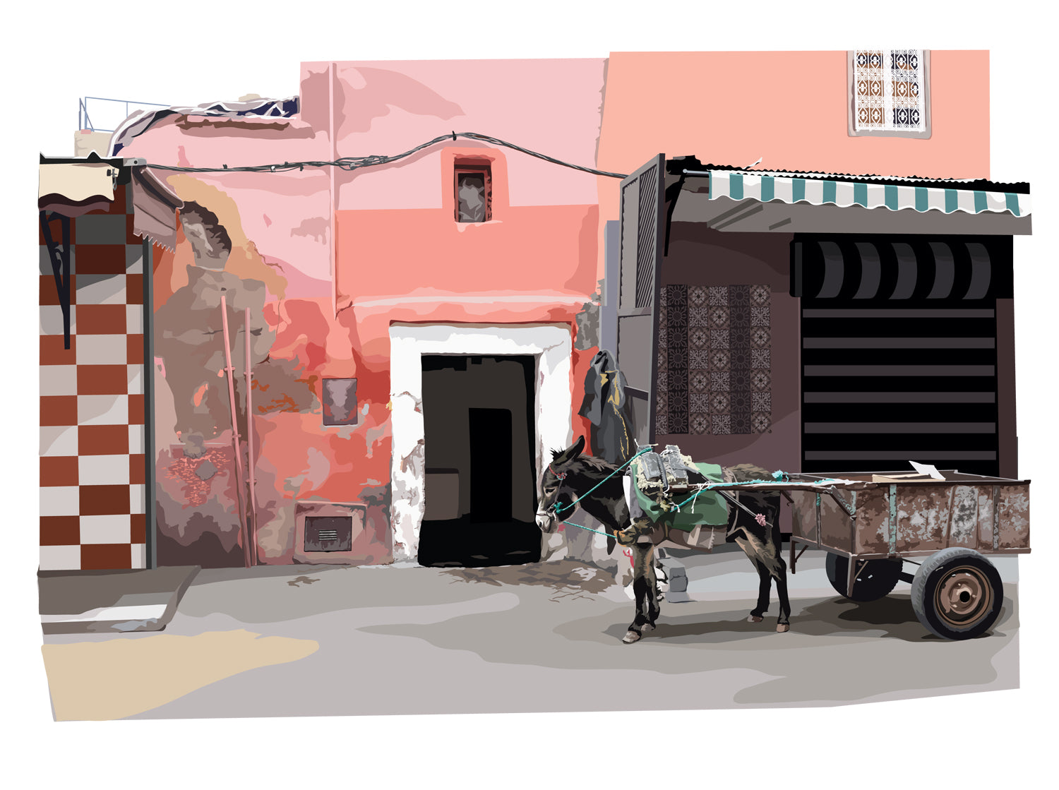 Donkey and cart - Marrakesh 